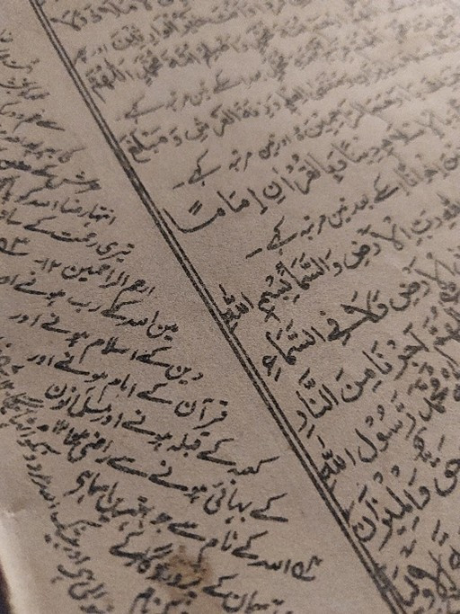 Ta-Ha Thoughts: For the Love of the Language