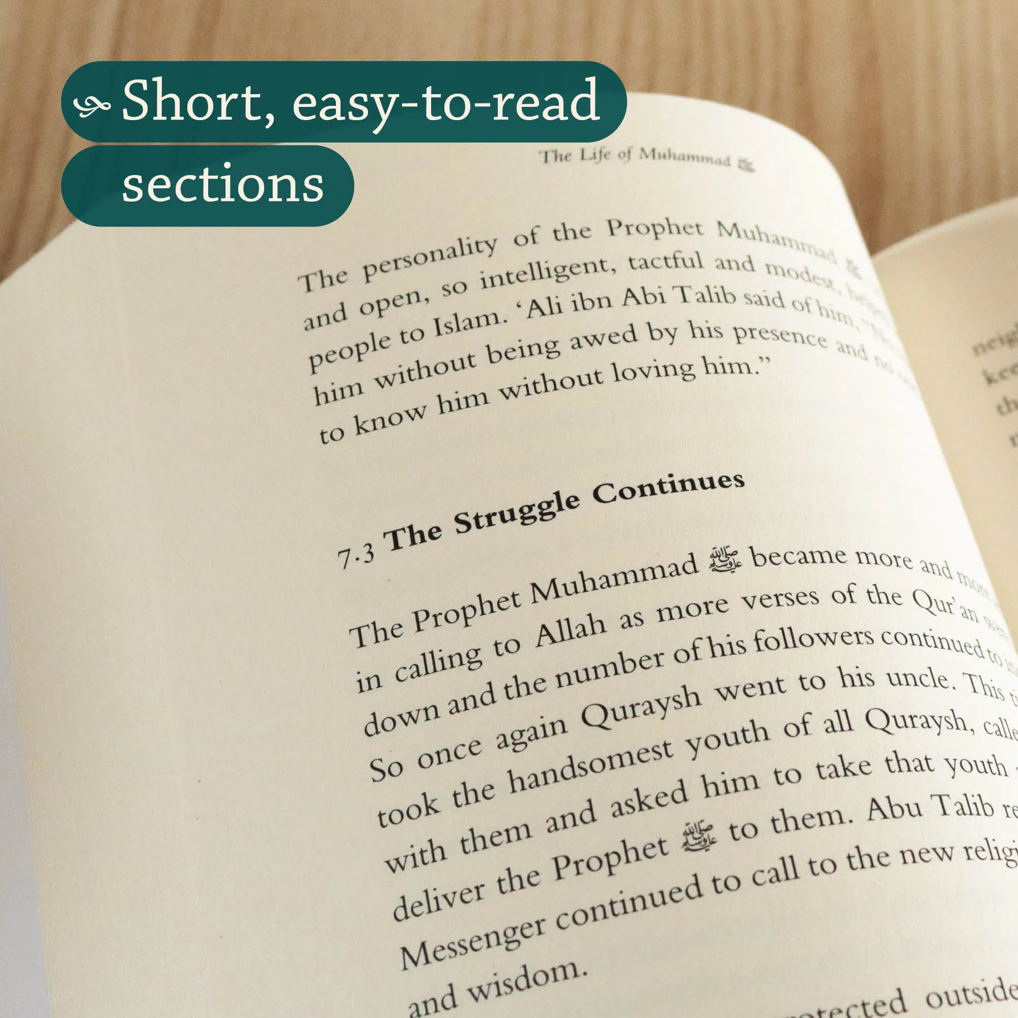 Inner spread of The Life of Muhammad by Tahia Al-Ismail. Gentle seerah for teens by Ta-Ha Publishers