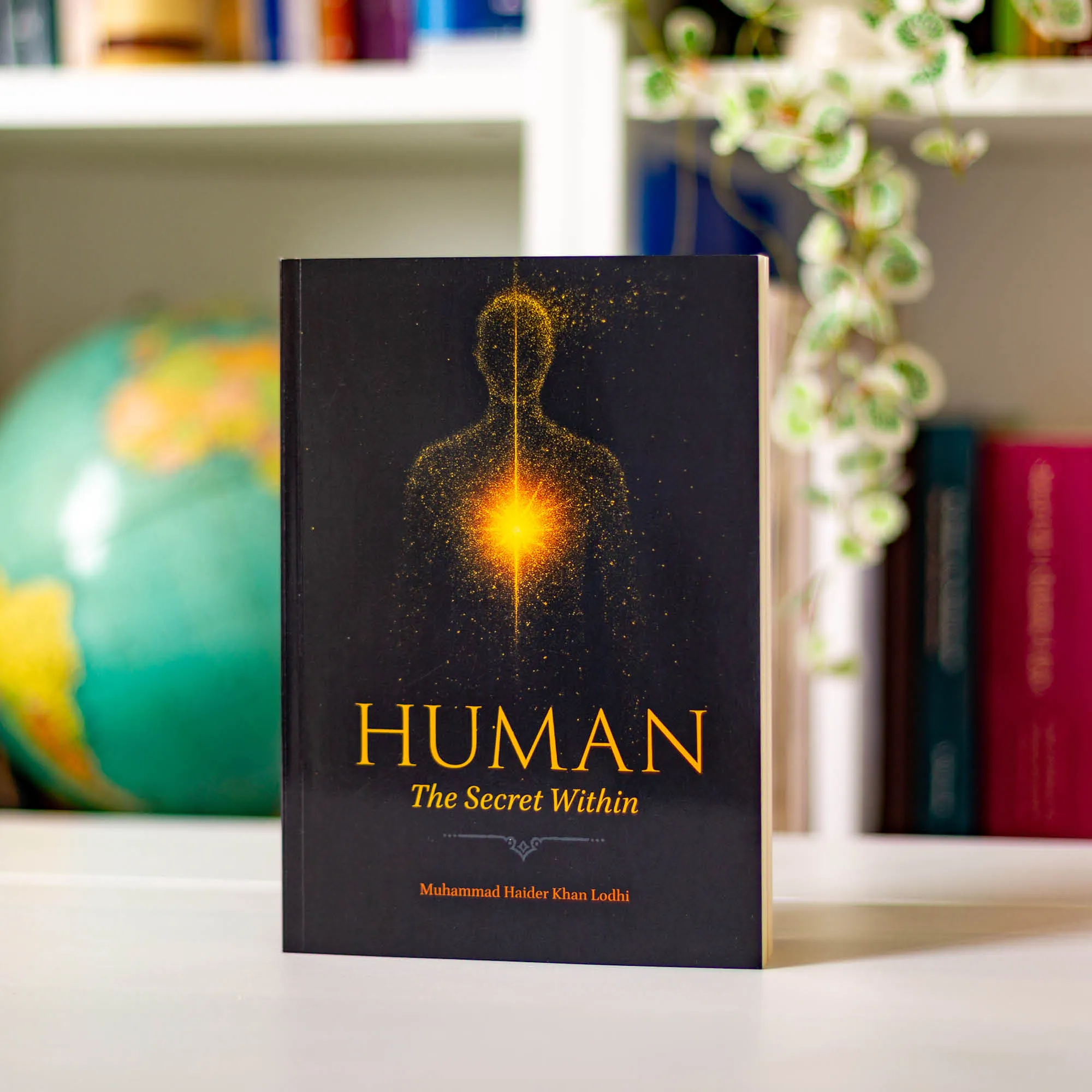 Human - Image 8