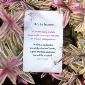 Back of Du'a For Increase Card by Ta-Ha Publishers. Plastic wallet du'a card