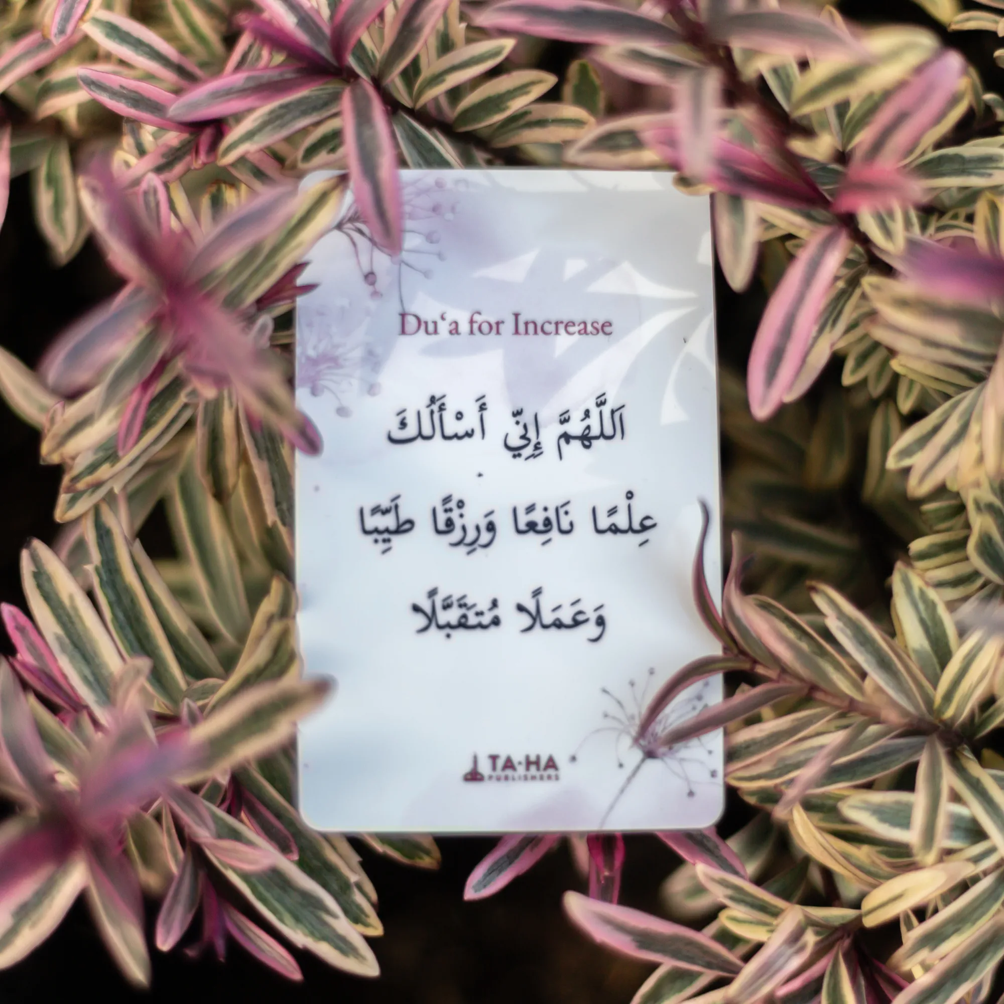 Du‘a for Increase Card