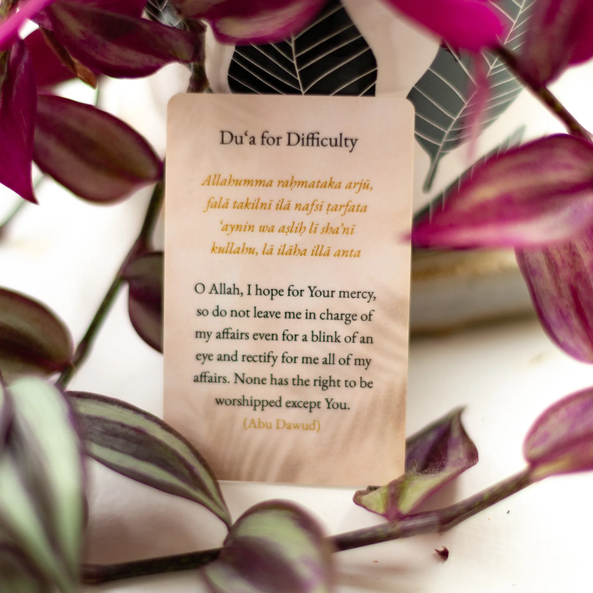 Back of Du'a for Difficulty Card by Ta-Ha Publishers. Plastic wallet du'a card